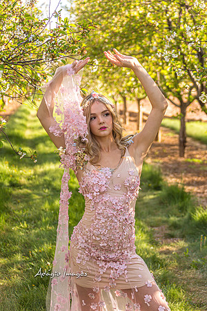 250503_Blossom_388