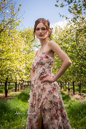 250503_Blossom_105
