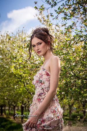 250503_Blossom_068