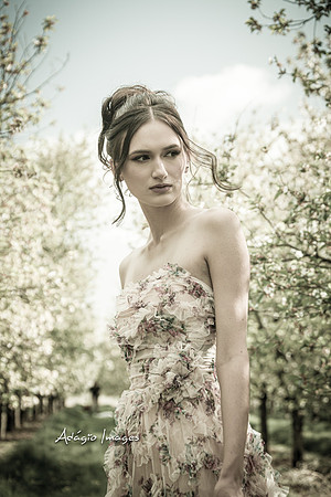 250503_Blossom_045
