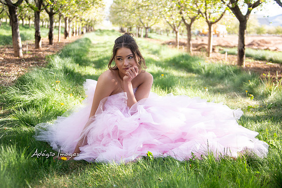 250503_Blossom_244