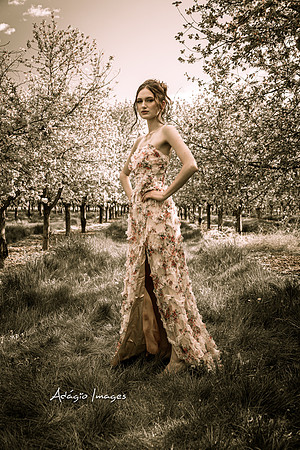 250503_Blossom_091