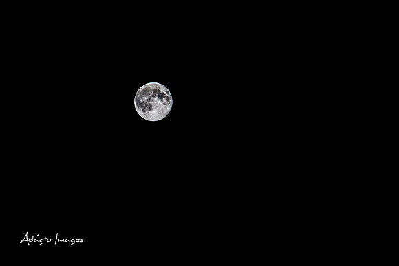 140810_FullMoonCabin_028
