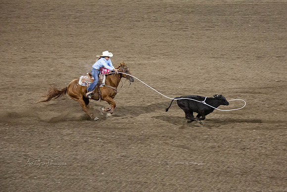 190723_Rodeo_672