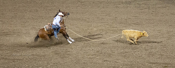 190723_Rodeo_575