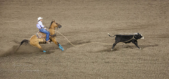 190723_Rodeo_644