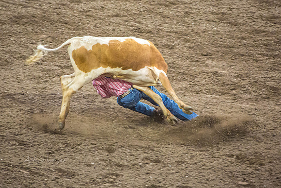 190723_Rodeo_281