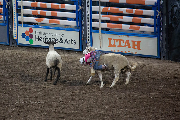 190723_Rodeo_289