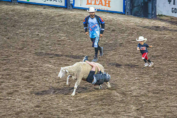 190723_Rodeo_298