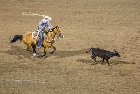 190723_Rodeo_514