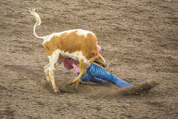 190723_Rodeo_280