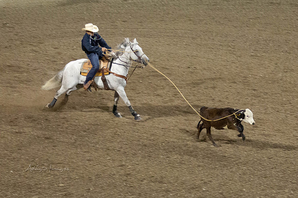 190723_Rodeo_532