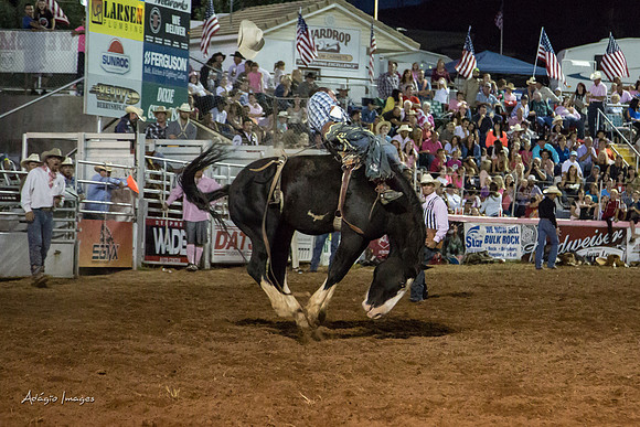 Dixie Roundup Rodeo 2013