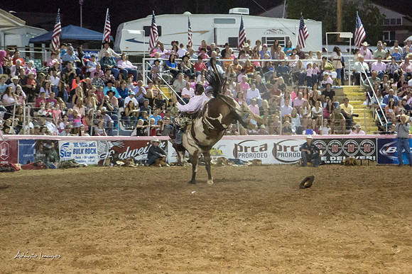 Dixie Roundup Rodeo 2013