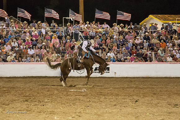 Dixie Roundup Rodeo 2013
