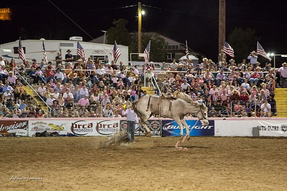 Dixie Roundup Rodeo 2013