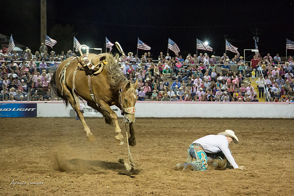 Dixie Roundup Rodeo 2013
