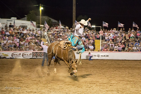Dixie Roundup Rodeo 2013