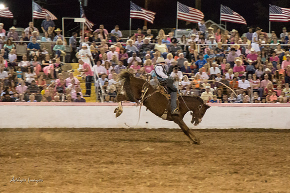 Dixie Roundup Rodeo 2013