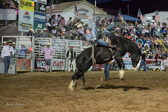 Dixie Roundup Rodeo 2013