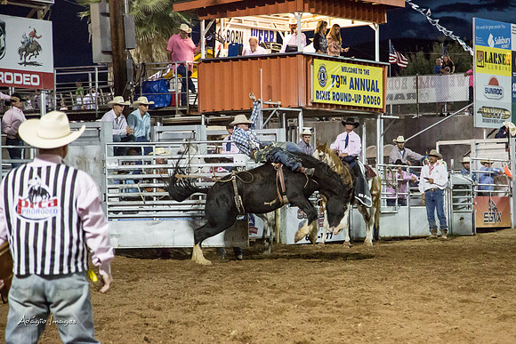 Dixie Roundup Rodeo 2013