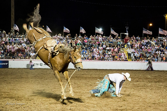 Dixie Roundup Rodeo 2013