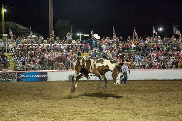 Dixie Roundup Rodeo 2013