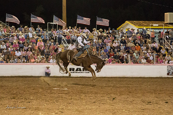 Dixie Roundup Rodeo 2013