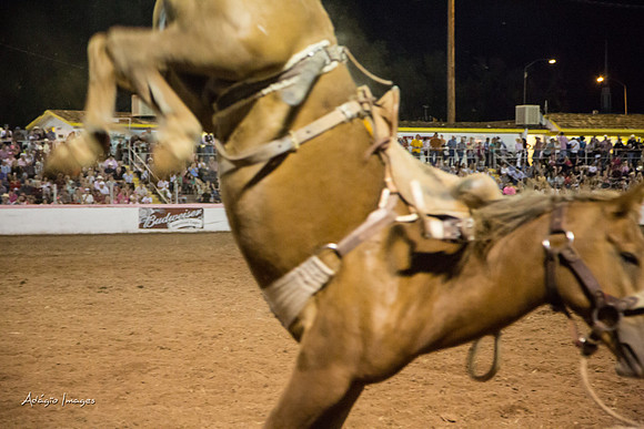 Dixie Roundup Rodeo 2013