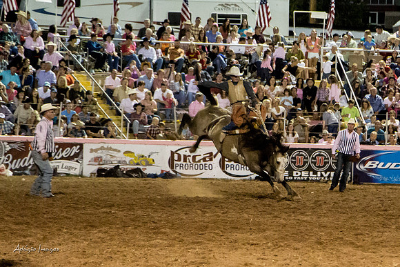 Dixie Roundup Rodeo 2013