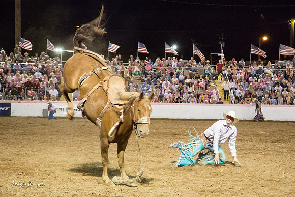 Dixie Roundup Rodeo 2013
