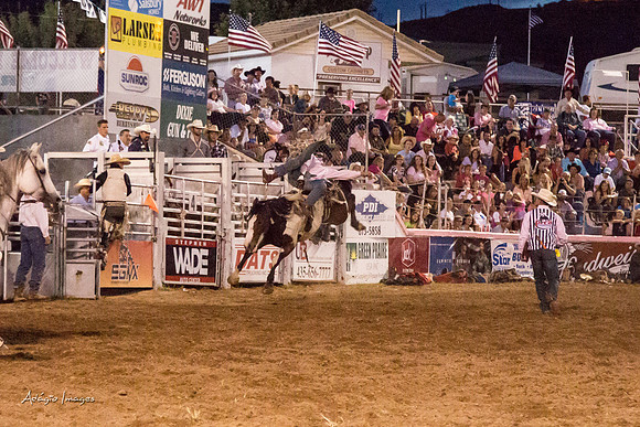 Dixie Roundup Rodeo 2013