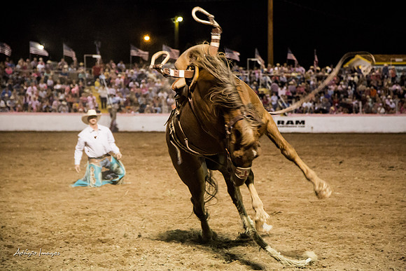 Dixie Roundup Rodeo 2013