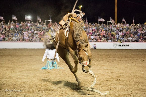 Dixie Roundup Rodeo 2013