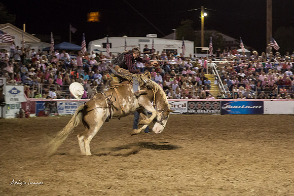 Dixie Roundup Rodeo 2013
