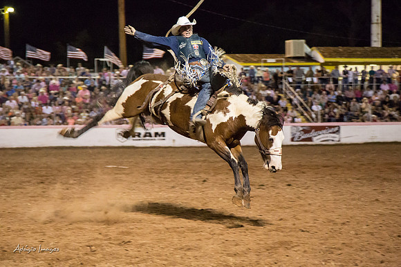 Dixie Roundup Rodeo 2013