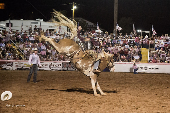 Dixie Roundup Rodeo 2013