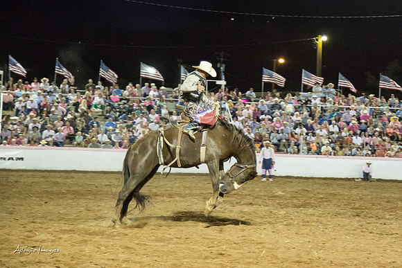 Dixie Roundup Rodeo 2013