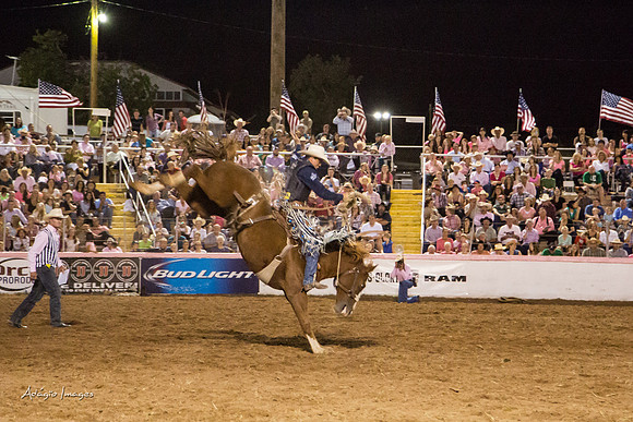 Dixie Roundup Rodeo 2013