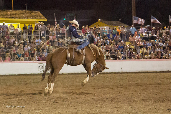Dixie Roundup Rodeo 2013