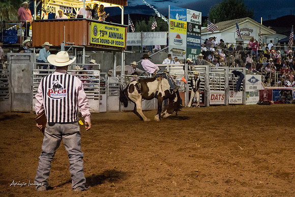 Dixie Roundup Rodeo 2013