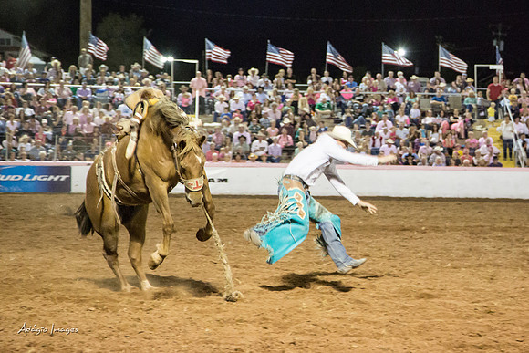 Dixie Roundup Rodeo 2013