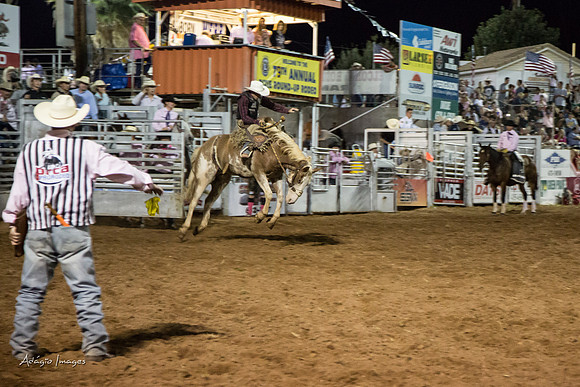 Dixie Roundup Rodeo 2013