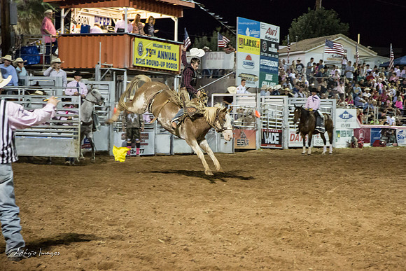 Dixie Roundup Rodeo 2013