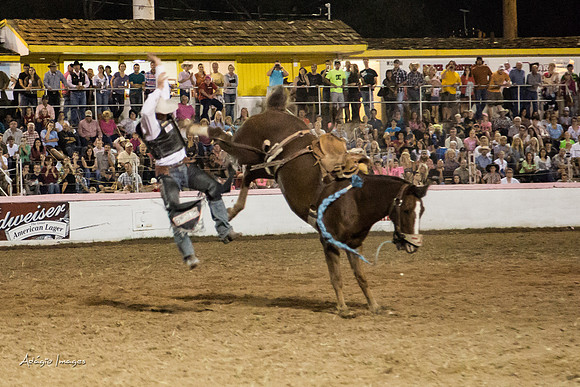 Dixie Roundup Rodeo 2013