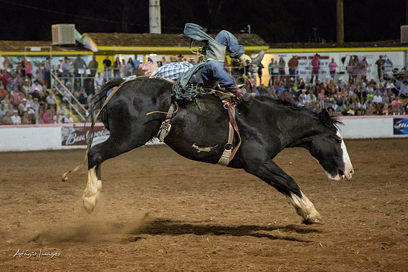 Dixie Roundup Rodeo 2013