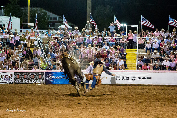 Dixie Roundup Rodeo 2013