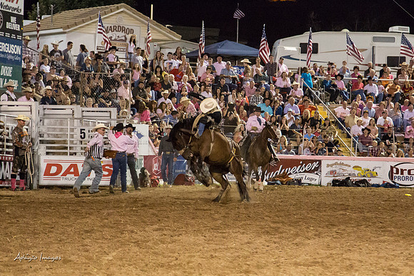 Dixie Roundup Rodeo 2013