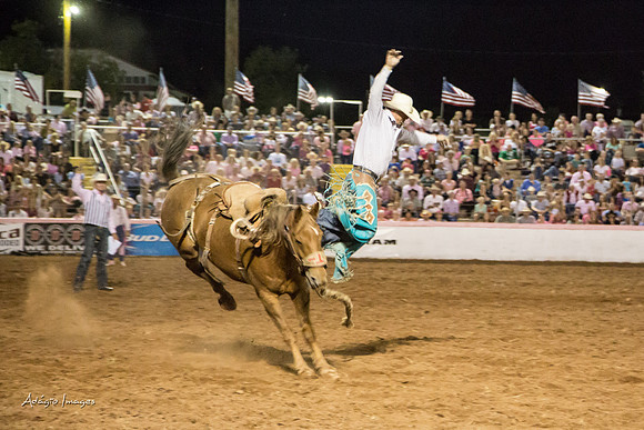 Dixie Roundup Rodeo 2013