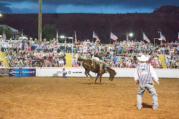 Dixie Roundup Rodeo 2013